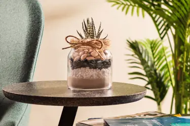 كيف تحول برطمان بوك إلى وعاء نباتات؟